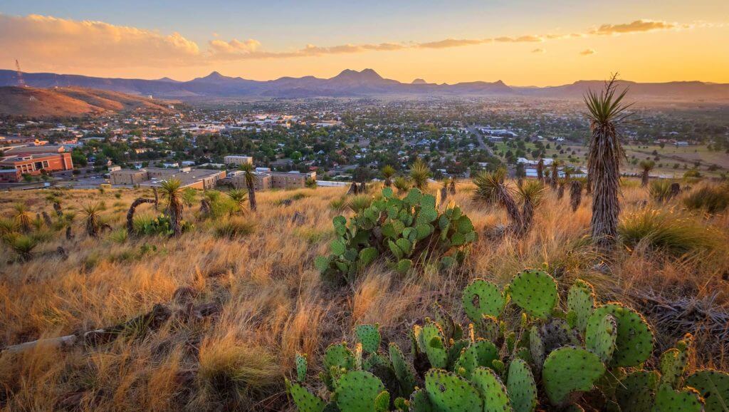 Cacti, trees and desert grass with a city skyline and large mountains are viewed in the background