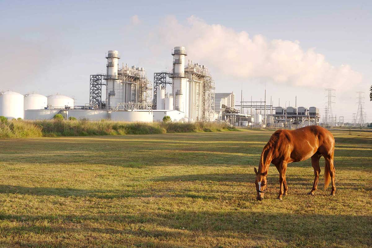 Horse grazing on land in front of a Texas power plant
